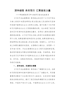 深学细悟务实笃行汇聚奋进力量市委理论学习中心组学习会议交流发言