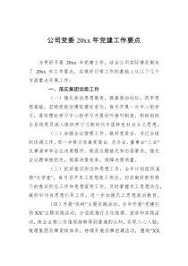 公司党委20XX年党建工作要点