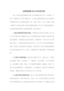 公司党支部20XX年工作计划