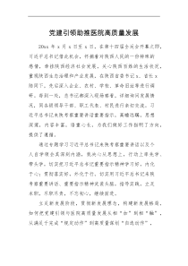 研讨发言党建引领助推医院高质量发展心得体会参考