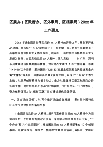 区委办区政府办区外事局区档案局20XX年工作要点