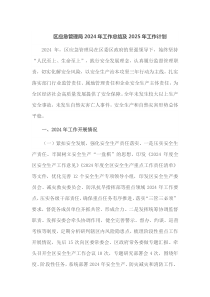 区应急管理局2024年工作总结及2025年工作计划