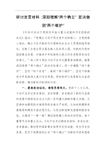 研讨发言深刻理解两个确立坚决做到两个维护