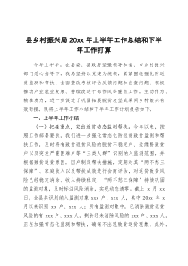 县乡村振兴局20XX年上半年工作总结和下半年工作打算