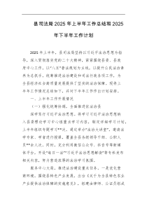 县司法局2025年上半年工作总结和2025年下半年工作计划