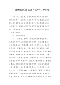 县政府办公室2025年上半年工作总结