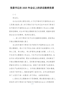 党委书记在2025年会议上的讲话提纲党课