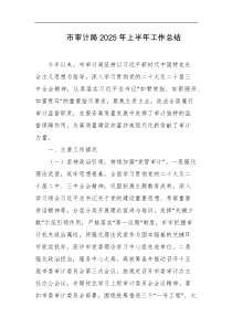 市审计局2025年上半年工作总结