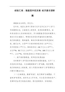 经验汇报强基固本促发展经济建设谱新篇