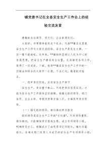 镇党委书记在全县安全生产工作会上的经验交流发言