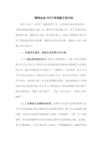 国有企业2025年党建工作计划