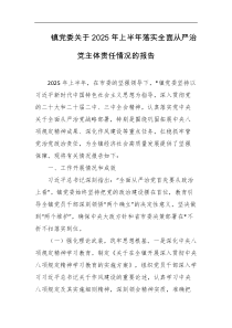 镇党委关于2025年上半年落实全面从严治党主体责任情况的报告