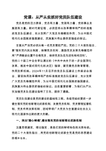 党课：从严从实抓好党员队伍建设