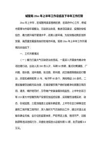 城管局20XX年上半年工作总结及下半年工作打算