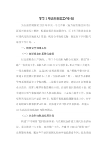 学习1号文件制定工作计划