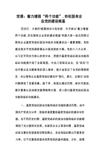 党课：着力增强“两个功能”，夯实国有企业党的建设根基.docx