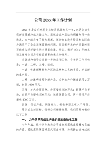 工作计划20XX年公司工作计划