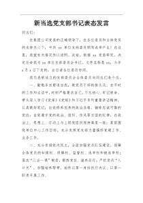 表态发言新当选党支部书记表态发言