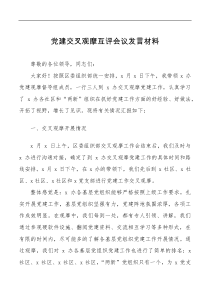 讲话发言党建交叉观摩互评会议范文情况问题意见建议评价心得总结讲话