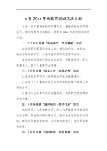 工作计划x县20XX年两新党组织活动计划范文两新组织党建工作计划参考