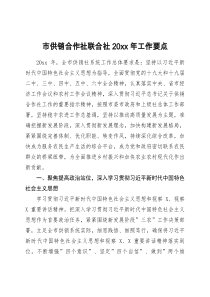 市供销合作社联合社20XX年工作要点