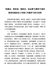 迎盛会铸忠诚强担当创业绩主题学习宣传教育实践活动工作第三专题学习研讨材料