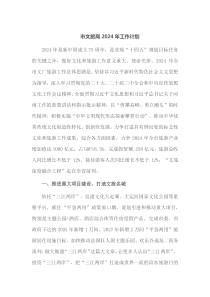 市文旅局2024年工作计划