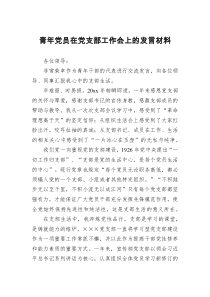 青年党员在党支部工作会上的