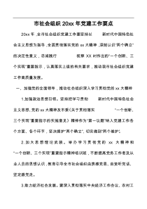 市社会组织20XX年党建工作要点