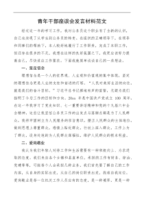 青年干部座谈会范文