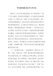 市行政审批局2025年工作计划