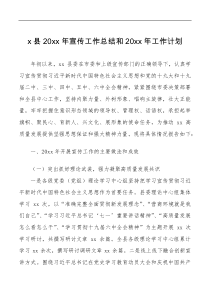 总结报告x县20XX年宣传工作总结和20XX年工作计划范文