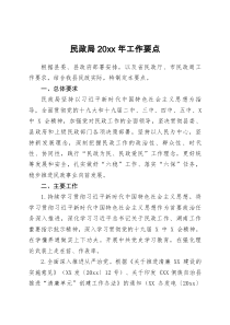 民政局20XX年工作要点