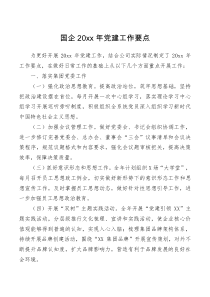 要点清单国企20XX年党建工作要点