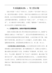 计划X区民政局20XX年工作计划