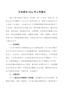 计划市安委会20XX年工作要点