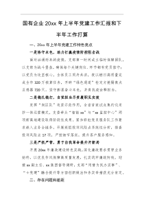 计划总结国有企业20XX年上半年党建工作汇报和下半年工作打算