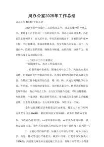 局办公室2025年工作总结