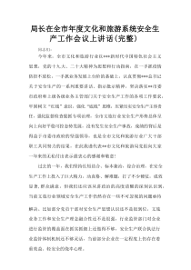 局长在全市年度文化和旅游系统安全生产工作会议上讲话（精编）