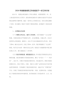 2024年县基层减负工作总结及下一步工作计划