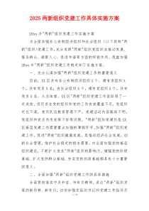 2025两新组织党建工作具体实施方案