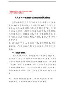2025年3月 党支部2024年度组织生活会召开情况报告+2025年度党支部工作计划