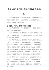 2024青年大学生学习两会精神心得体会大全（24篇）