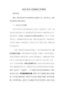 2025年乡人民政府工作报告