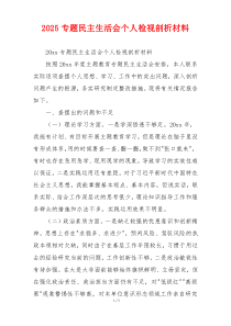 2025专题民主生活会个人检视剖析材料
