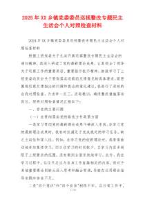 2025年XX乡镇党委委员巡视整改专题民主生活会个人对照检查材料