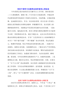 2025党员干部学习全国两会政府报告心得启发