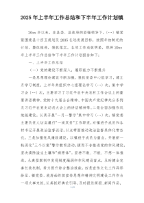 2025年上半年工作总结和下半年工作计划镇