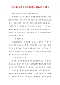 2025年专题民主生活会检视剖析材料 2