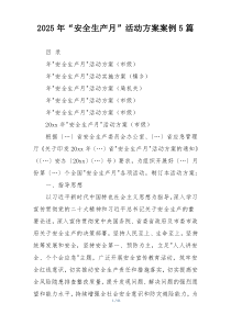 2025年“安全生产月”活动方案案例5篇